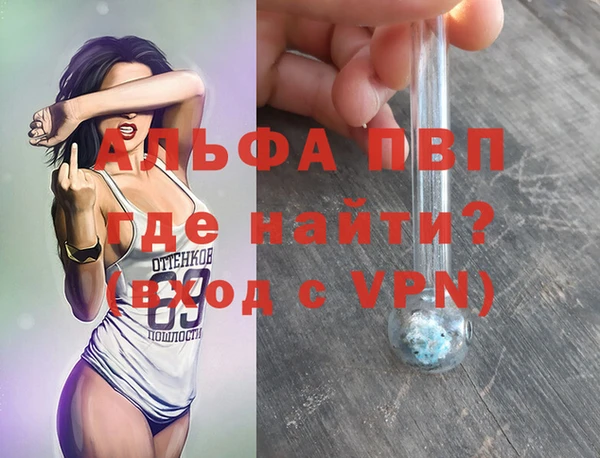 спиды Михайлов