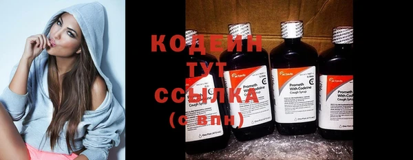 шишки Медвежьегорск