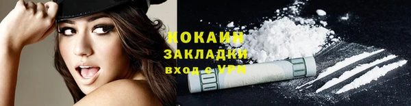 шишки Медвежьегорск