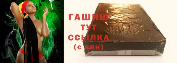 шишки Медвежьегорск