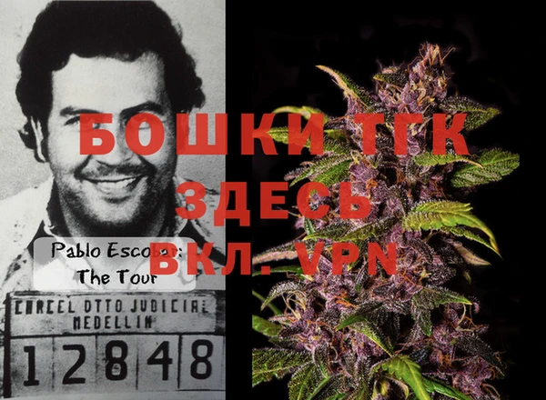 ГАЛЛЮЦИНОГЕННЫЕ ГРИБЫ Мегион